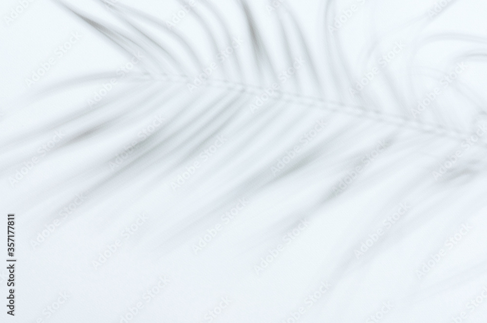 Obraz premium Blurred tree branch