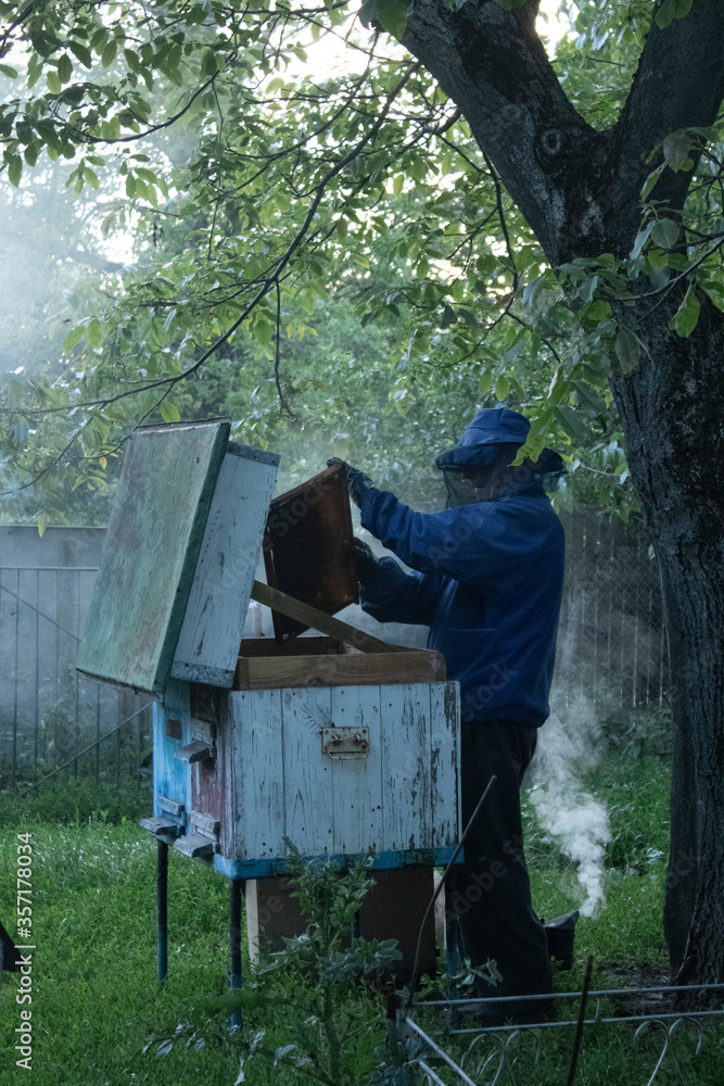 beekeeper works in the garden with the bees. honeycombs. houses of bees - hive. beekeeping. apiculture concept. High quality photo beekeeper works in the garden with the bees. honeycombs. houses of bees - hive. beekeeping. apiculture concept. High quality photo