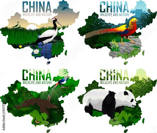 set of vector china maps with animals: Pangolin, diamond pheasant,  Golden pheasant, Red-crowned crane, and panda