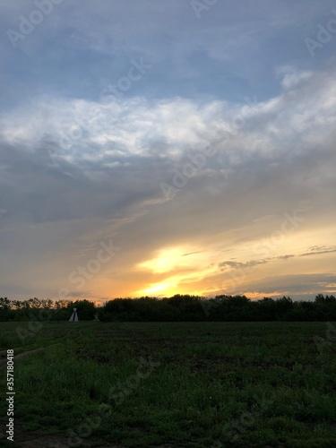 sunset over the field