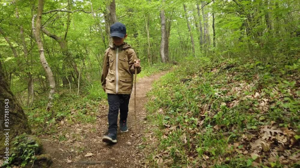 Little boy is walking through the forest. Hiking in mountain with walking stick and backpack. Little discoverer Little boy is walking through the forest. Hiking in mountain with walking stick and backpack. Little discoverer