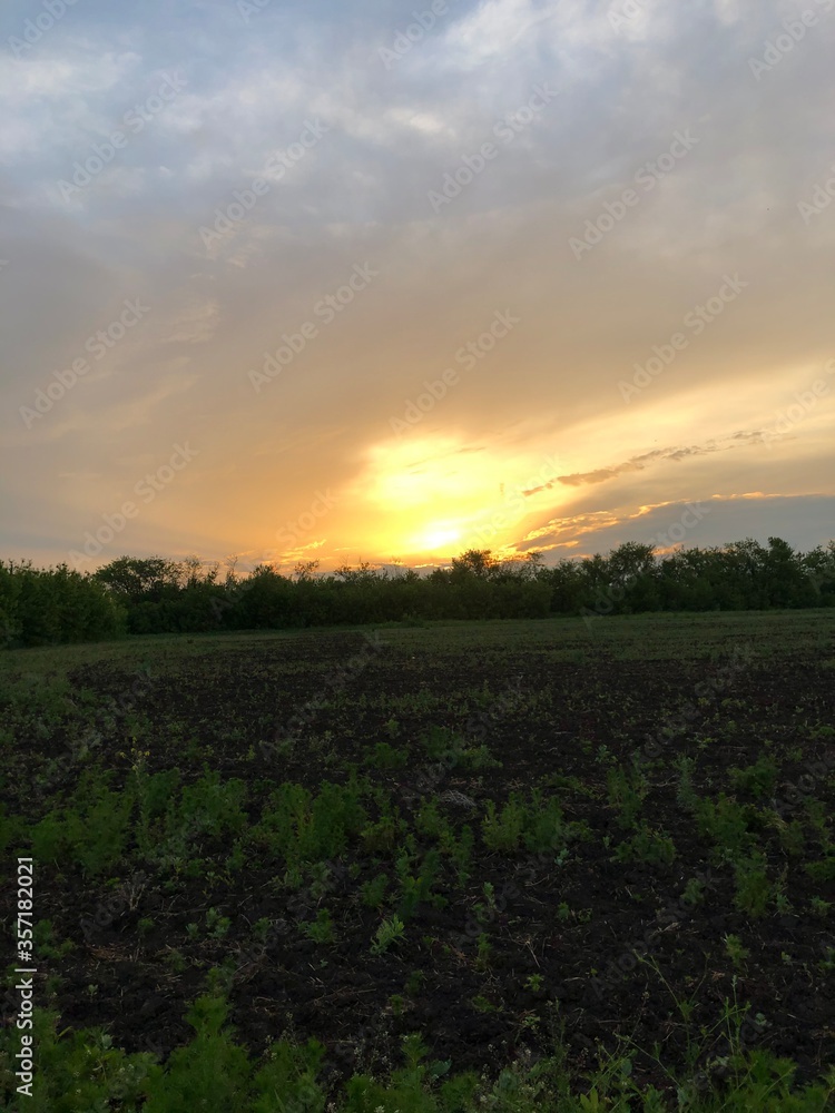 sunset in the field sunset in the field