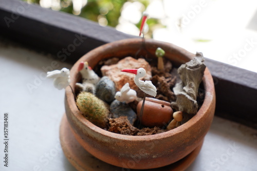 cactus in a pot