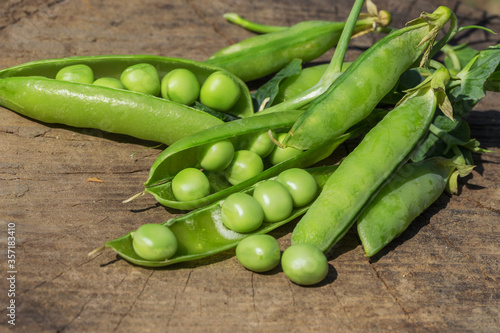 Closeup of authentic mature pods of peas, soft selective focus.