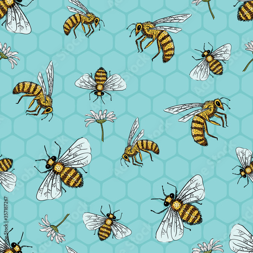 Spring Bees and Daisy Flowers Vector Seamless Pattern