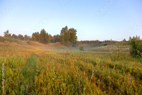 Beautiful authentic morning landscape with a slight mist in the meadow  sunlit.