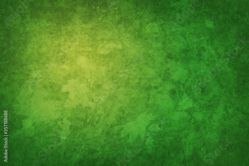 Fototapeta Naklejka Na Ścianę i Meble -  Nature element Plants, abstract green background texture for themes like botany, growing, environment protection or earth, copy space