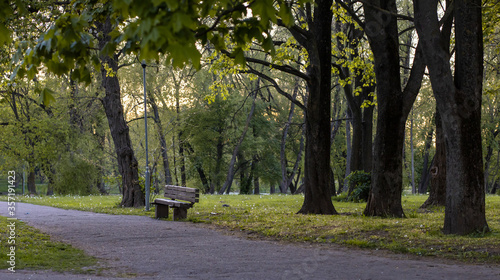 Bench in the Park among big and tall old trees © Gitanas