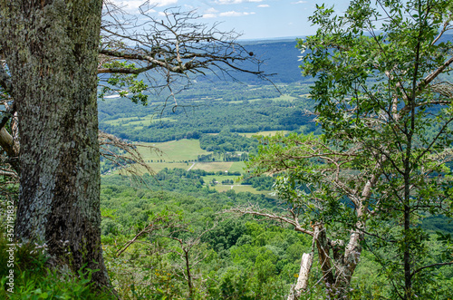 trees in the mountains © ChuckS