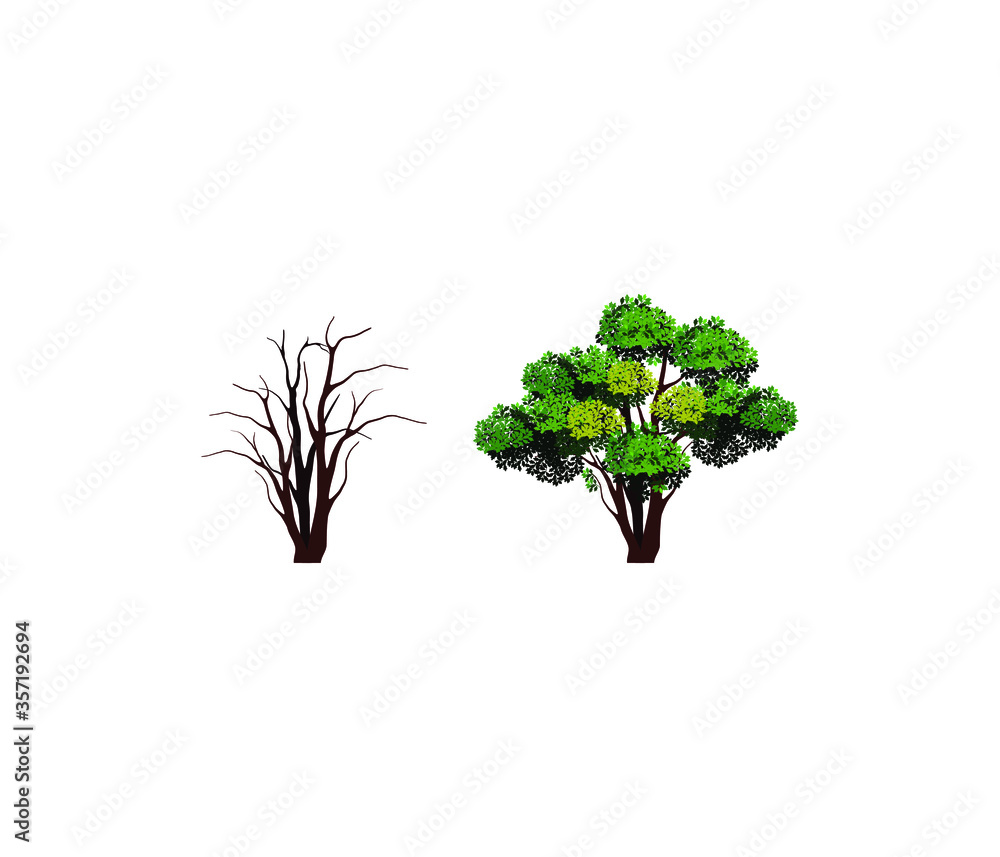 Obraz premium Stages of tree life, collection of leafy and leafless trees, vector isolated on white.