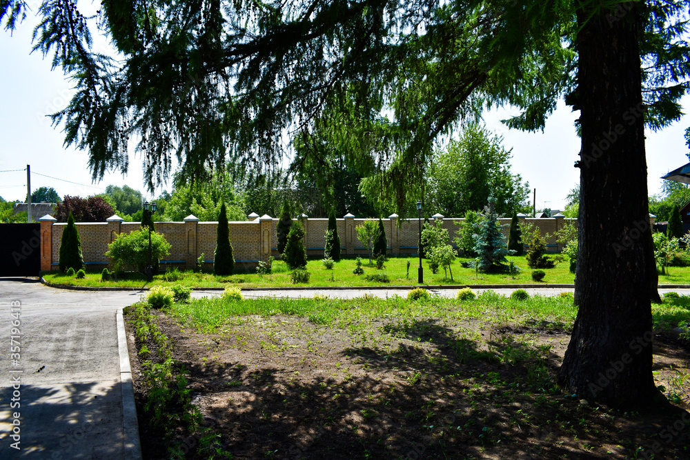 decorative trees on the lawn near a brick fence, footpath decorative trees on the lawn near a brick fence, footpath