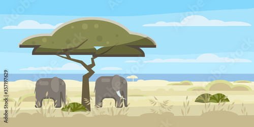 African landscape, savannah, wild herd of elephants, panorama, nature trees wilderness