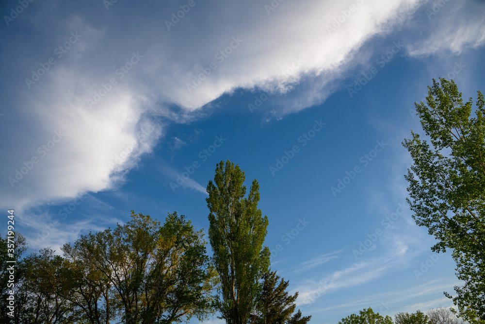 clouds and trees and blue skiy