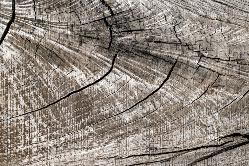 Fototapeta premium Old wood texture background. Wooden texture. Nature material background