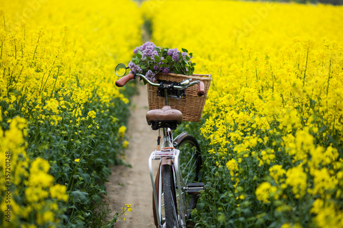 vintage bike with a bouquet of lilac flowers in the wicker basket in the summer blooming rapeseed field