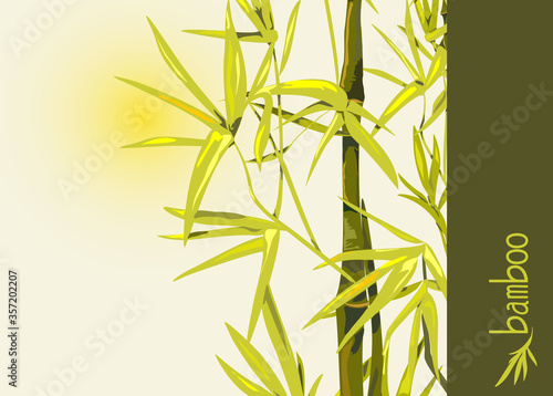 Vector isolated bamboo with leaves and branches on a background of the sun. Illustration in Chinese and Japanese style in traditional colors and unique font