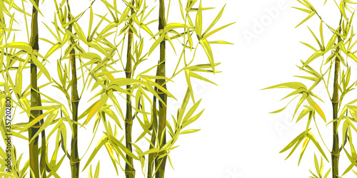 Vector isolated ink bamboo with leaves and branches on a white background. Illustration in Chinese and Japanese style, traditional graphics