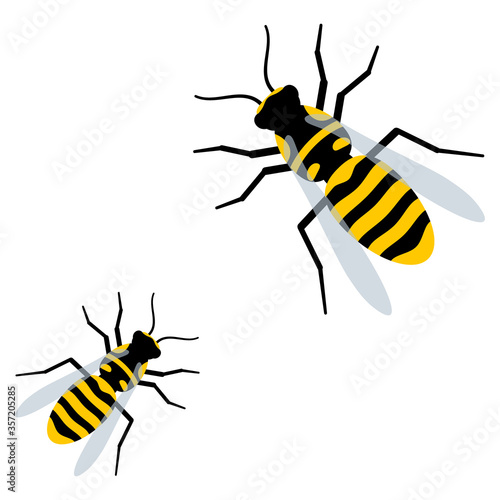 cute wasps flat vector isolated on white