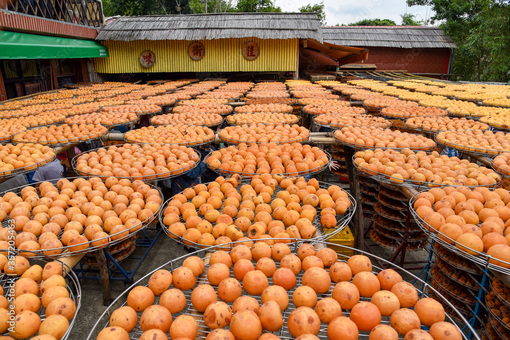 Persimmons ripe in the autumn season and production process