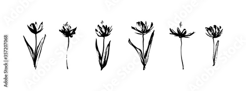 Grunge dirty decorative flowers. Hand drawn black vector floral collection, isolated on white background. Modern ink graphic art, expressive brush strokes