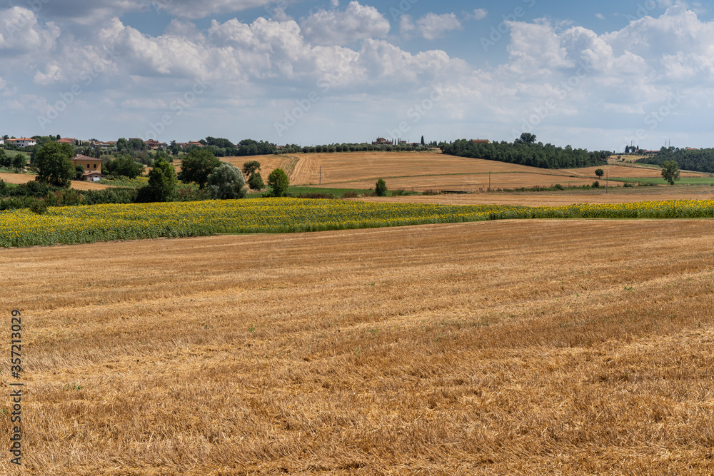 Italy, Tuscany, Cortona July 12 2018.Tuscan countryside. Italy, Tuscany, Cortona July 12 2018.Tuscan countryside.