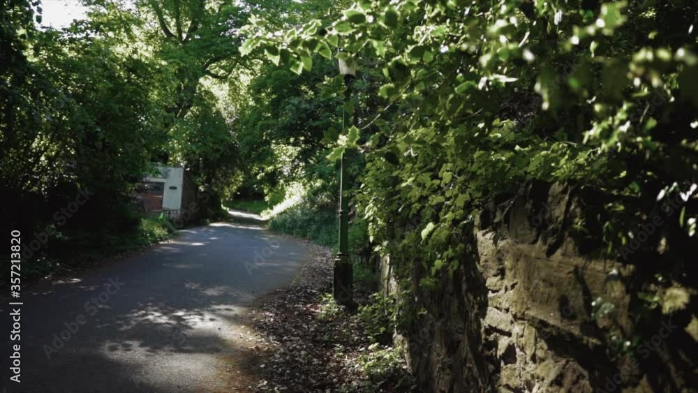 An old British street lined with woodland and an old steel lamp post