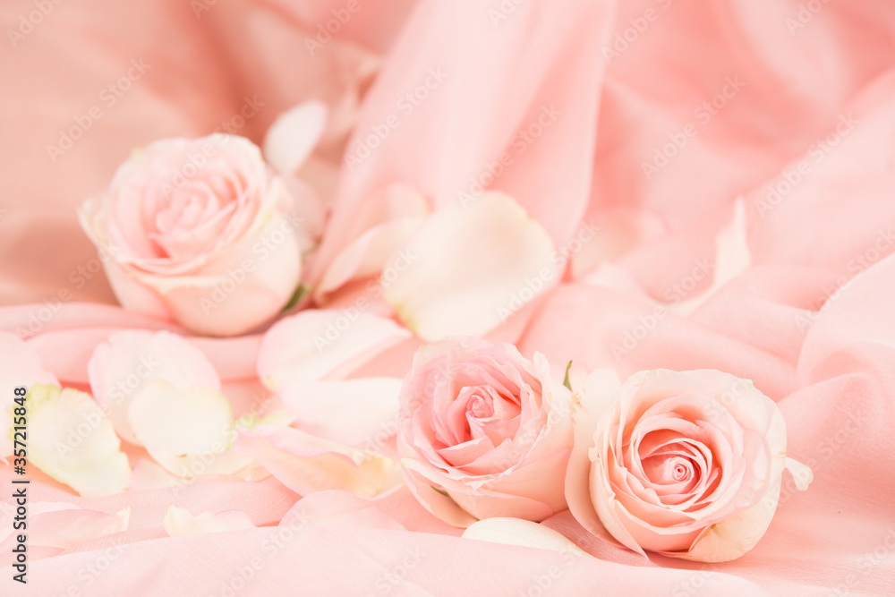 pink rose flowers on soft silk - wedding, holiday and floral background styled concept, elegant visuals pink rose flowers on soft silk - wedding, holiday and floral background styled concept, elegant visuals