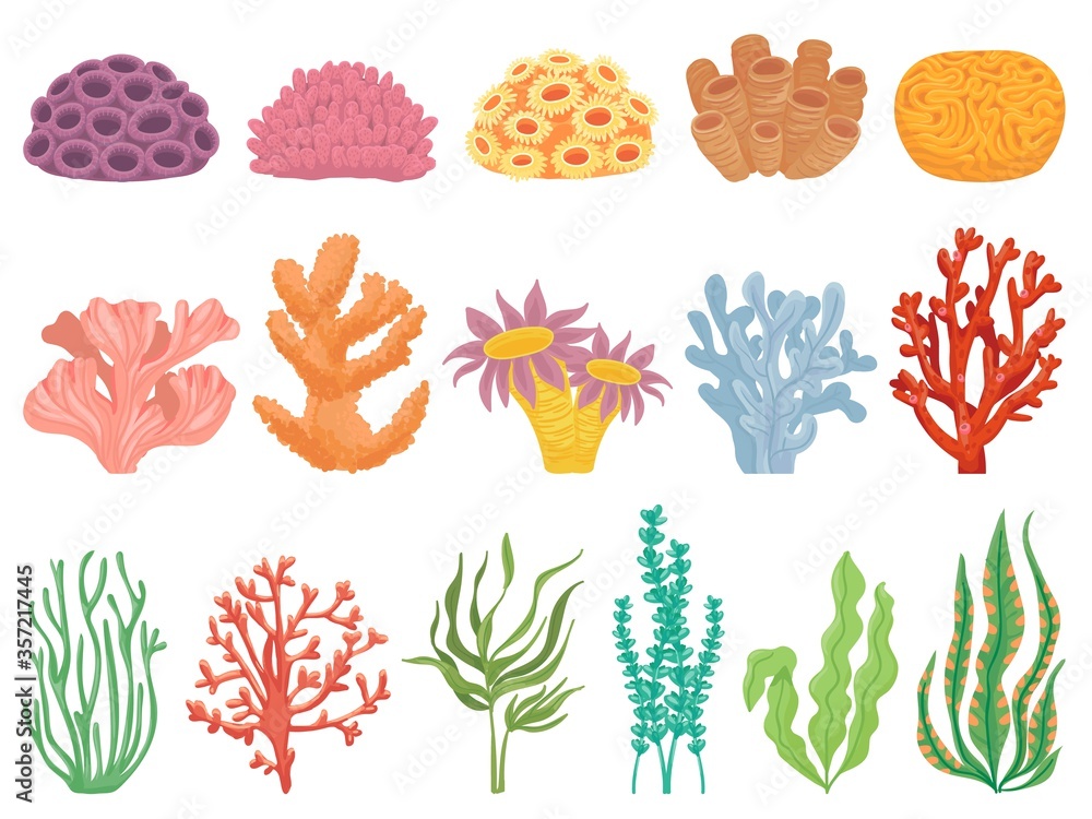 Ocean coral. Seaweeds and sea plant creatures, marine kelp. Underwater reef flora, corals and algae. Aquarium seaweed, ocean flora and fauna isolated on white cartoon vector illustration set. Ocean coral. Seaweeds and sea plant creatures, marine kelp. Underwater reef flora, corals and algae. Aquarium seaweed, ocean flora and fauna isolated on white cartoon vector illustration set.
