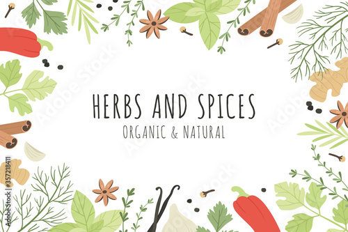 Spices and culinary herbs banner. Cooking organic and natural ingredients star anise, basil and ginger, garlic. Cinnamon, vanilla and paprika, mint and rosemary, clove vector illustration background.