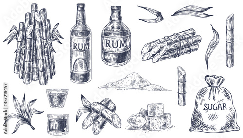 Sketch sugar cane. Sugarcane farm harvest, plant stalks organic cane leaves, sugar sack and cubes, bottle of rum, hand drawn vector set. Vintage alcoholic beverage with plant isolated on white.