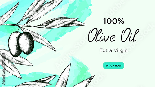 Vector illustration horizontal banner with hand-drawn olive tree branch with fruits. Label for olive oil, advertising poster for the site and mailing list extra virgin