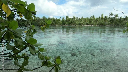 Motu island reef, Raiatea, French Polynesia photo