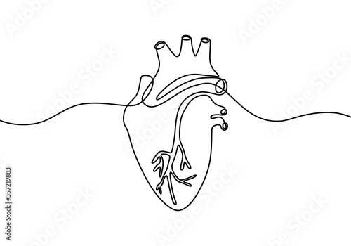 Single continuous line art anatomical human heart silhouette. Isolated heart on white background. Healthy medicine concept design one sketch outline drawing. Linear style. Vector illustration