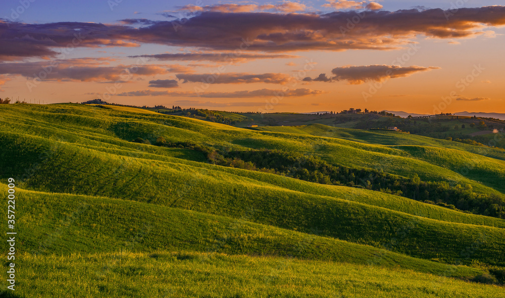 landscape of green fields of tuscany during sunset