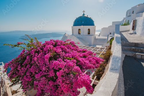 santorini island greece with blue sky, white buildings and pink flowers