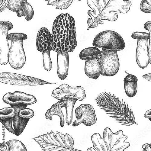 Leaves and mushrooms pattern. Hand drawn different autumn leaf, berries and mushrooms as morel and chanterelle, bolete and king trumpet vintage fall season sketch seamless vector texture.