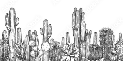 Hand drawn cactuses. Sketch cartoon succulent agave, saguaro and prickly leaved pear with . Desert or drought plants, botanical horizontal seamless pattern engraving vector illustration.