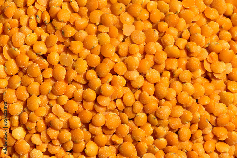 Fototapeta premium rote Linsen