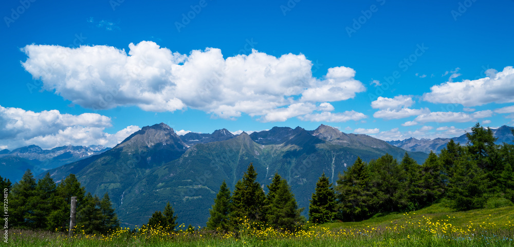 Spring landscape with flowers meadow and mountains. Panoramic view of idyllic mountain scenery in the Alps with fresh green meadows in bloom on a beautiful sunny day in springtime.