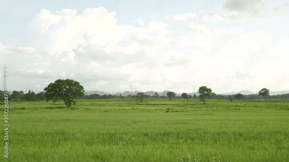 Big green field on countryside place during running short Big green field on countryside place during running short