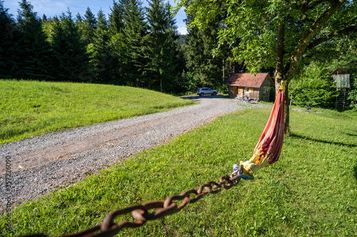 Schwarzwald bei Oberharmersbach photo