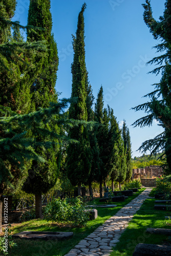 Tuscan view with cypress trees. Colorful summer garden view of Italian countryside. Countryside background. Beautiful tall cypress tree with blue sky above.