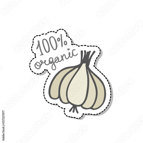 garlic doodle icon, vector sticker color illustration