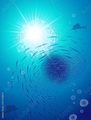 魚の群れ　フィッシュトルネード