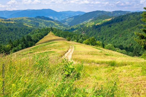 mountain landscape in summer. blue sky with fluffy clouds. road through green meadow. hills rolling into the distant valley. callm nature scenery of carpathian countryside