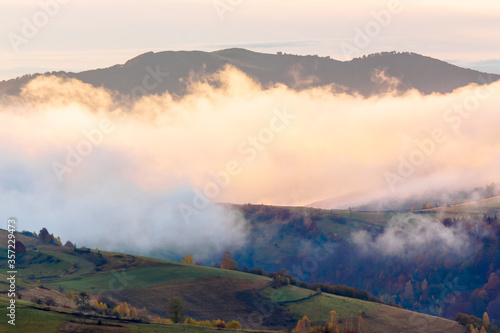 autumn sunset in mountains. tree top among the fog rolling through hills. mysterious nature scenery © Pellinni