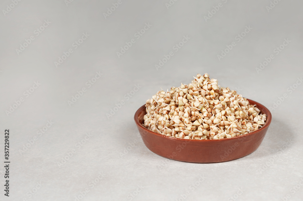 Sprouted green buckwheat in a brown bowl on a light gray background. Minimalism. Sprouted green buckwheat in a brown bowl on a light gray background. Minimalism.
