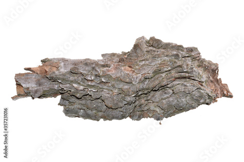 tree bark isolated on white background