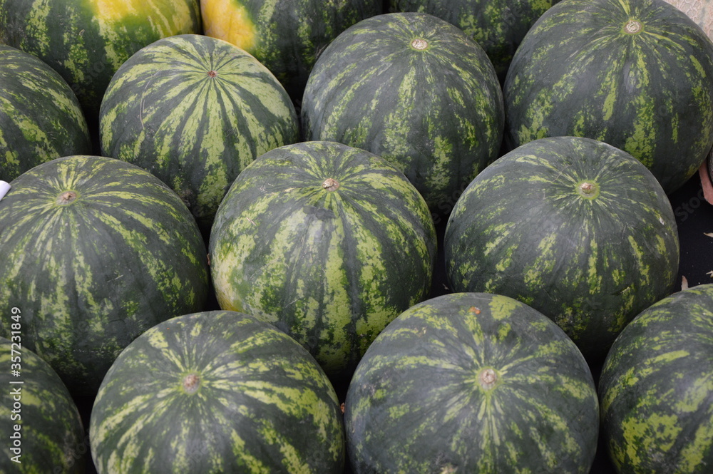 Melonenauslage Melonenauslage