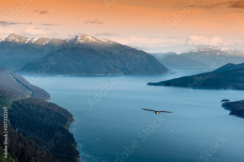 Wallpaper Mural A scenic evening view from the Mount Roberts  in  Juneau, Alaska. A bald eagle is flying over the Gastineau Channel with snow capped mountains in the background.  Torontodigital.ca